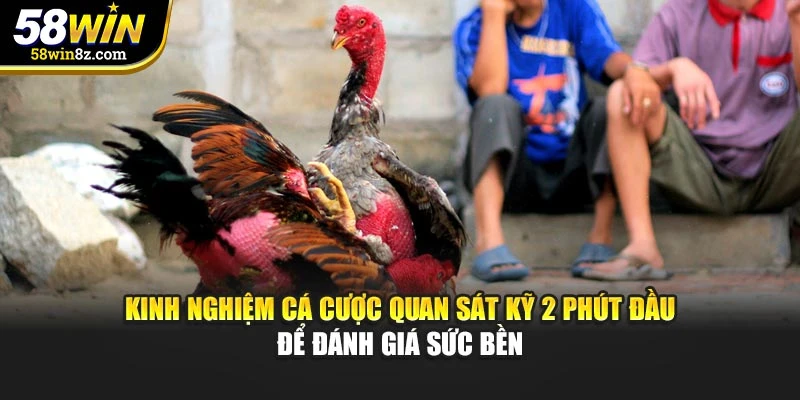 Kinh nghiệm cá cược quan sát kỹ 2 phút đầu để đánh giá sức bền