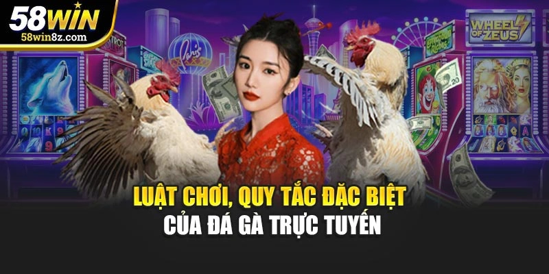 Luật chơi, quy tắc đặc biệt của đá gà trực tuyến
